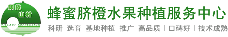 荔浦天隆植物保护专业合作社、蜜脐橙 、桂林天隆脐橙、蜂蜜橙水果种植服务中心、天隆蜂蜜橙苗，桂林天隆蜂蜜橙苗